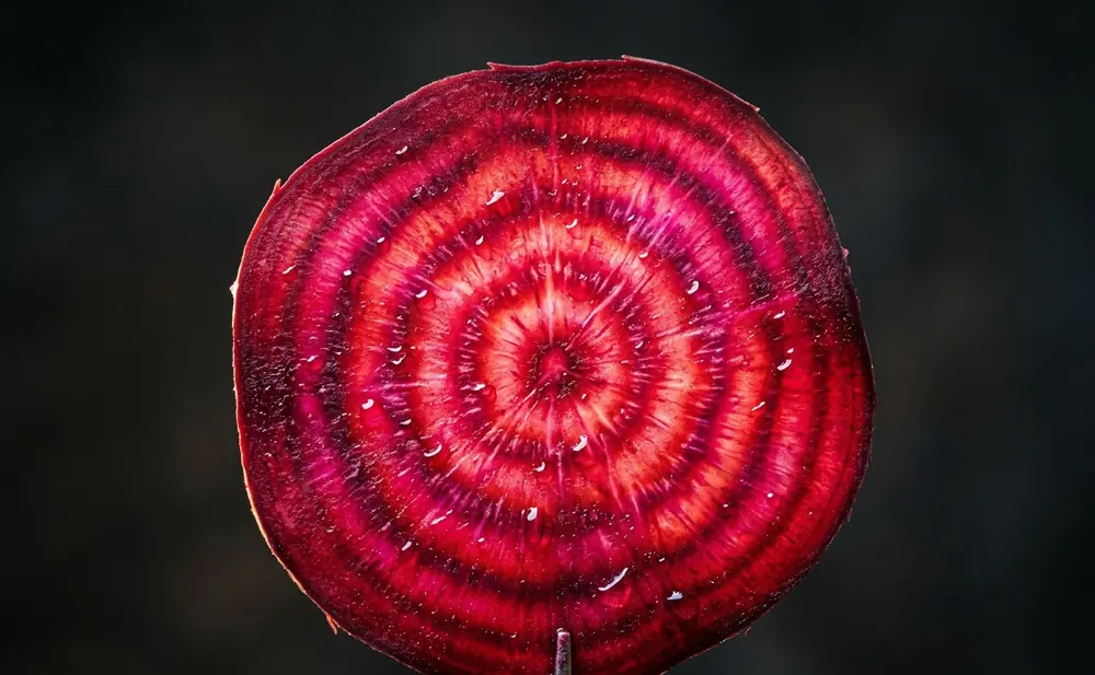 Macro photograph of a beetroot slice